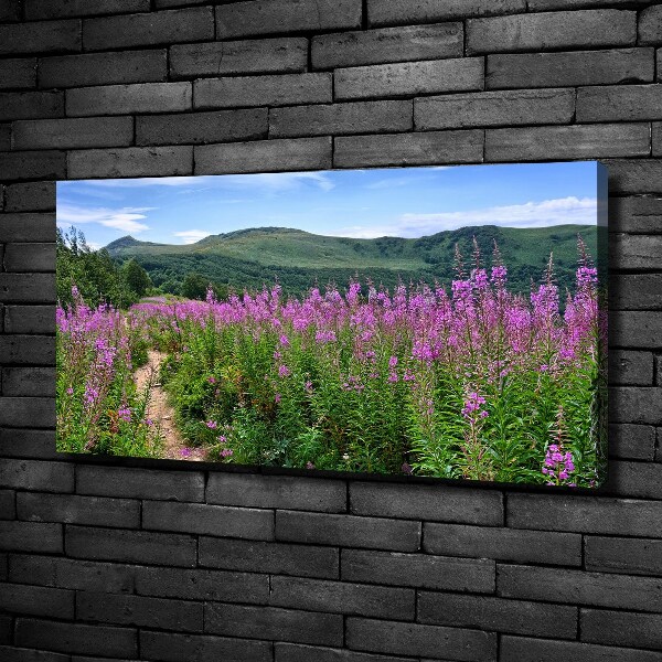Canvas foto Groene heuvels