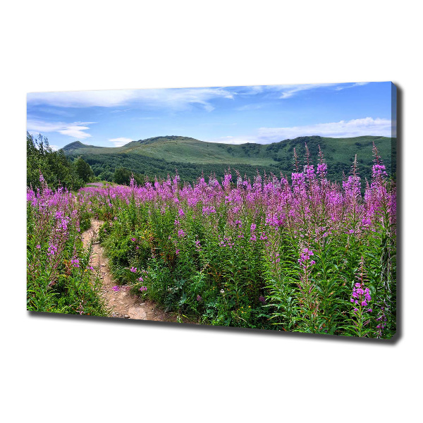 Canvas foto Groene heuvels