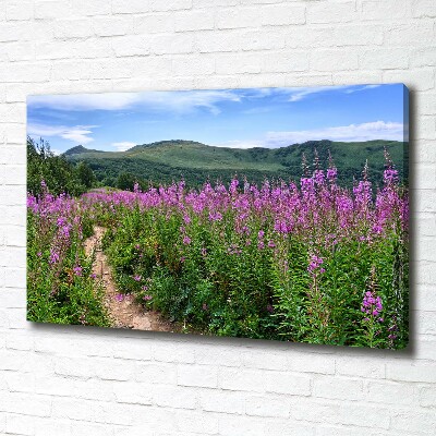 Canvas foto Groene heuvels