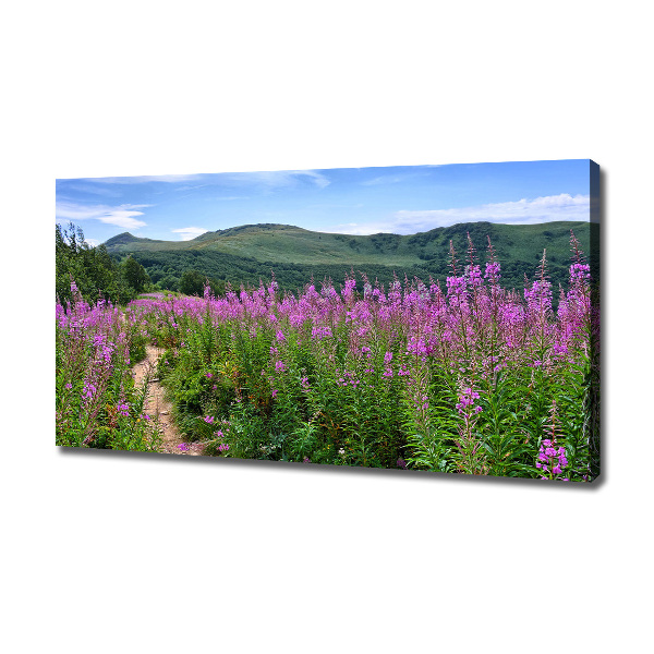 Canvas foto Groene heuvels
