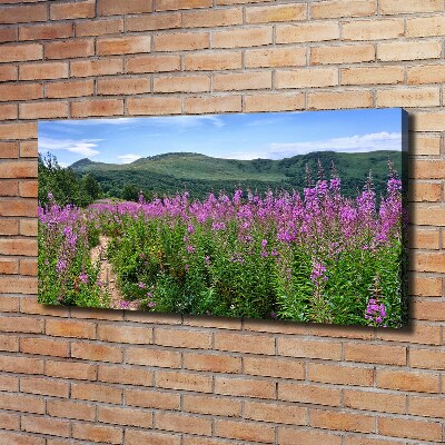 Canvas foto Groene heuvels