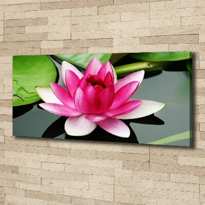 Foto canvas Waterlelie