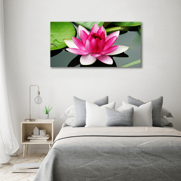 Foto canvas Waterlelie