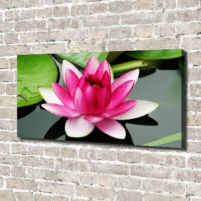 Foto canvas Waterlelie