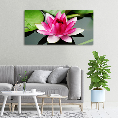 Foto canvas Waterlelie
