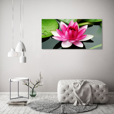 Foto canvas Waterlelie