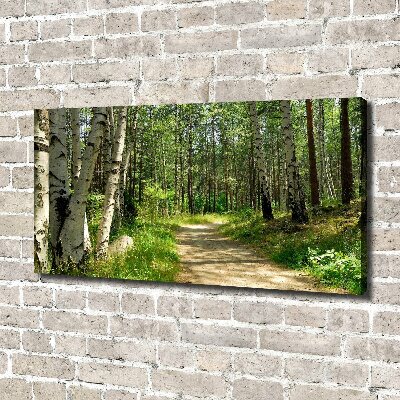 Canvas foto Pad in het bos