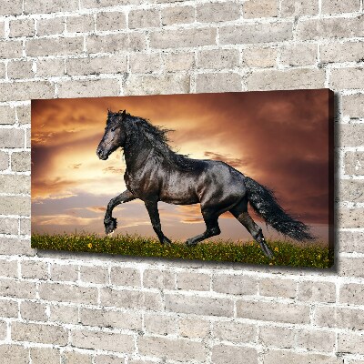 Canvas schilderij Dravend paard