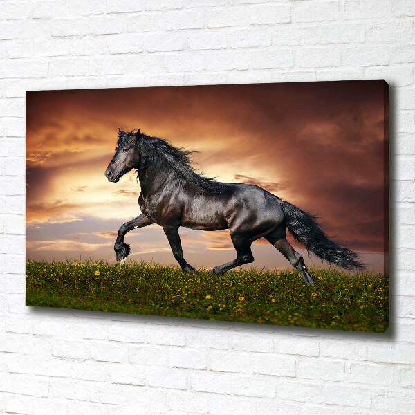 Canvas schilderij Dravend paard