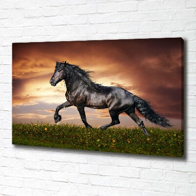 Canvas schilderij Dravend paard