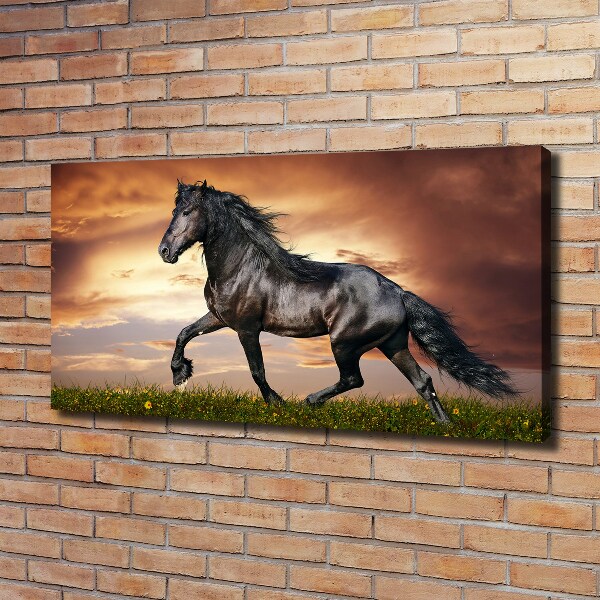Canvas schilderij Dravend paard