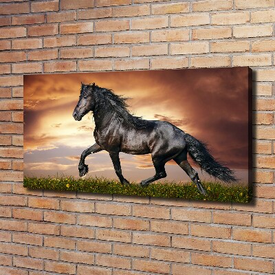 Canvas schilderij Dravend paard