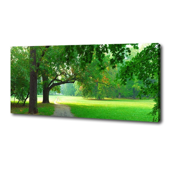 Foto op canvas Park in de herfst