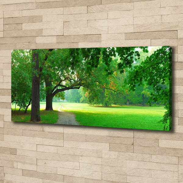 Foto op canvas Park in de herfst