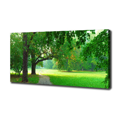 Foto op canvas Park in de herfst