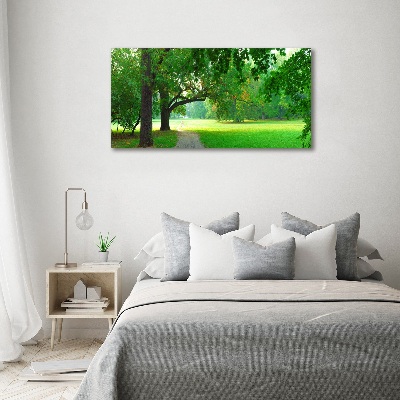 Foto op canvas Park in de herfst