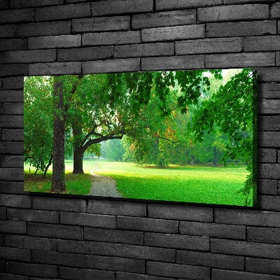 Foto op canvas Park in de herfst