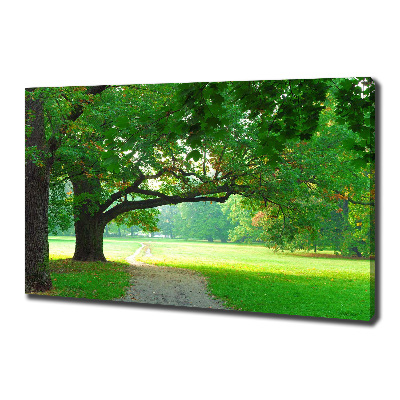 Foto op canvas Park in de herfst