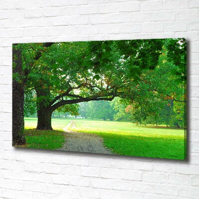 Foto op canvas Park in de herfst