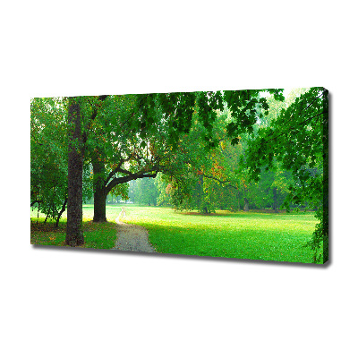 Foto op canvas Park in de herfst