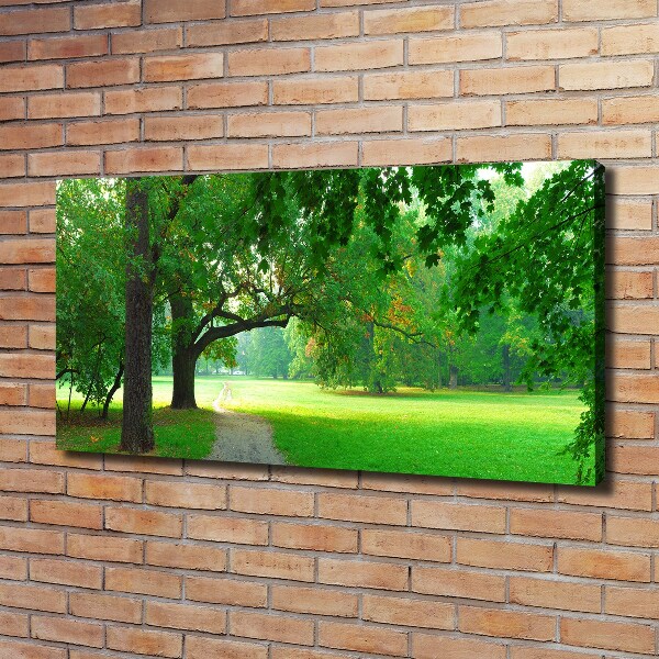 Foto op canvas Park in de herfst