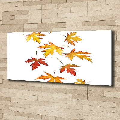 Canvas foto Herfstbladeren