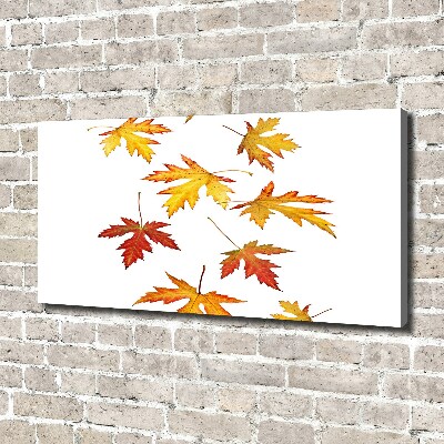 Canvas foto Herfstbladeren