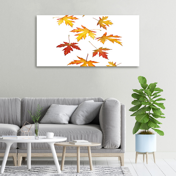 Canvas foto Herfstbladeren