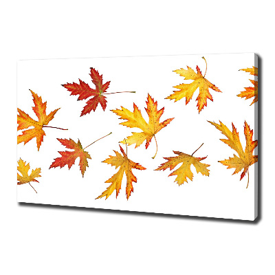 Canvas foto Herfstbladeren