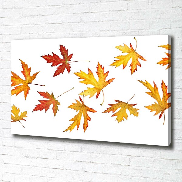 Canvas foto Herfstbladeren