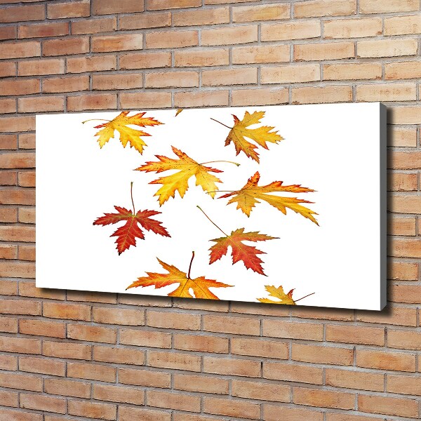 Canvas foto Herfstbladeren