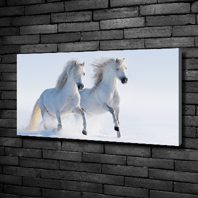 Schilderij op canvas Twee paarden in de sneeuw
