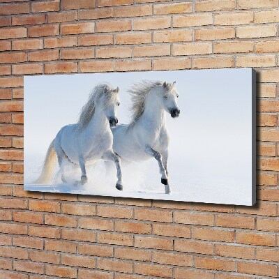 Schilderij op canvas Twee paarden in de sneeuw