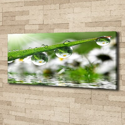 Schilderij op canvas Druppels op het gras