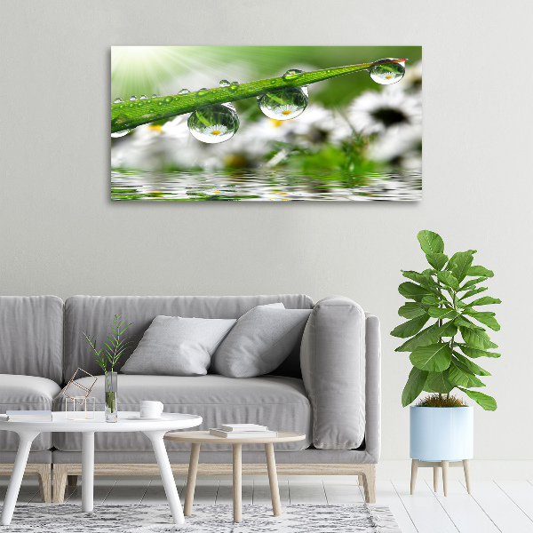 Schilderij op canvas Druppels op het gras