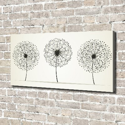 Foto canvas Paardenbloemen