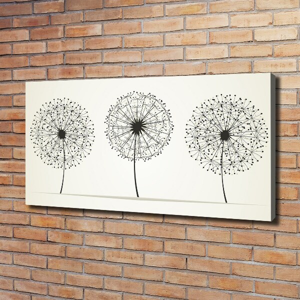 Foto canvas Paardenbloemen