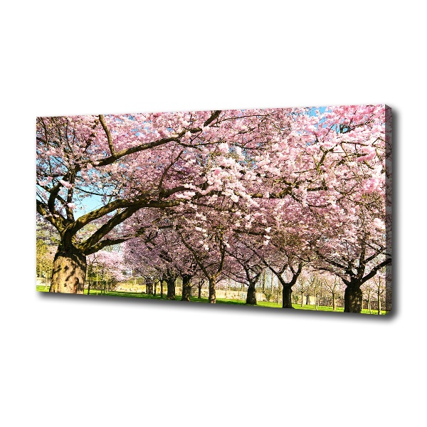 Foto op canvas Kersenbomen