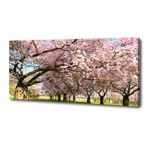 Foto op canvas Kersenbomen