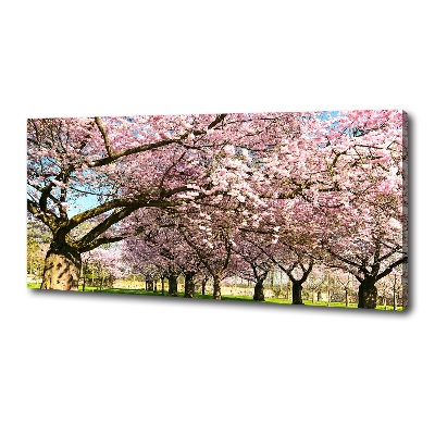 Foto op canvas Kersenbomen