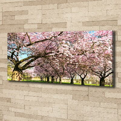 Foto op canvas Kersenbomen