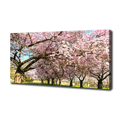 Foto op canvas Kersenbomen