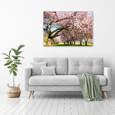 Foto op canvas Kersenbomen