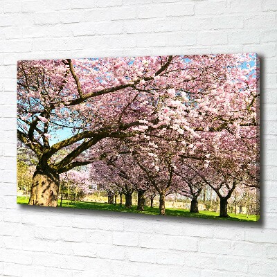 Foto op canvas Kersenbomen