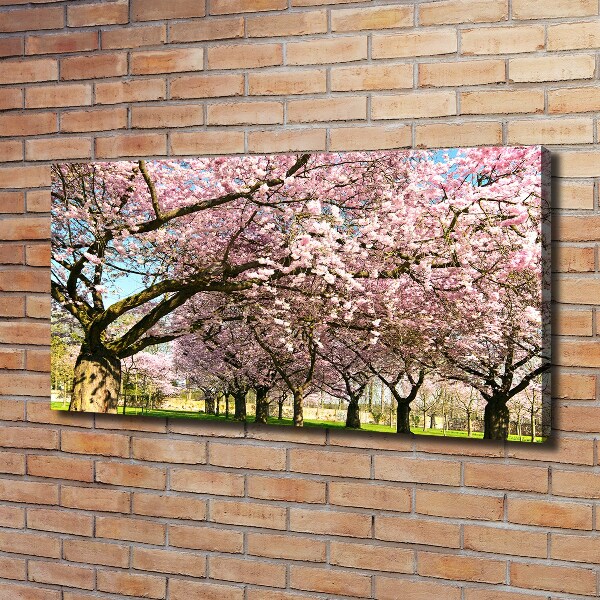 Foto op canvas Kersenbomen