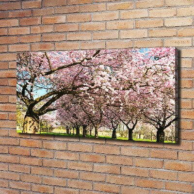 Foto op canvas Kersenbomen