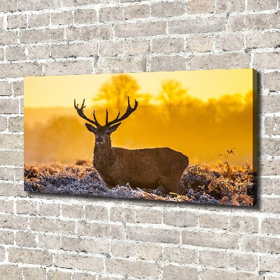 Canvas foto Herten zonsopgang