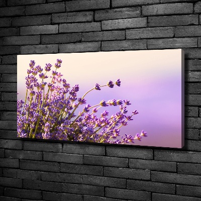 Canvas foto Lavendel