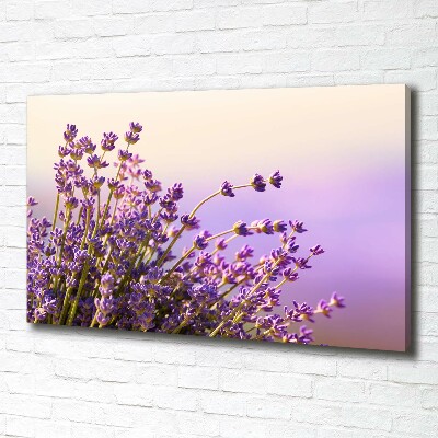Canvas foto Lavendel