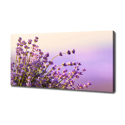 Canvas foto Lavendel
